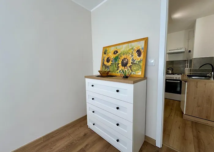 Daire Millennium Fiesta *